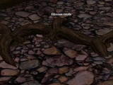 Stranger in Distress