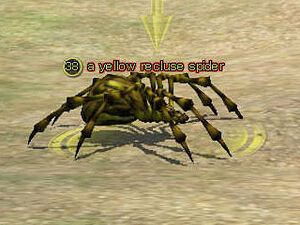 Yellow-recluse-spider
