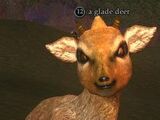 A glade deer