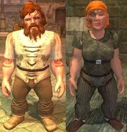 Race dwarf