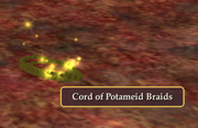 Cord of Potameid Braids