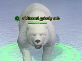 A blizzard grizzly cub