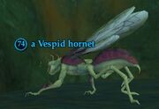 A Vespid hornet