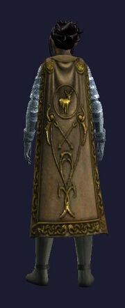 Cloak of the Sisterhood (worn)