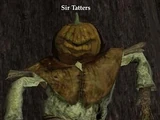Sir Tatters