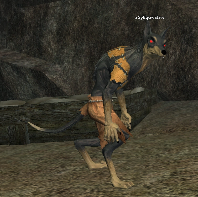 a Splitpaw slave EverQuest 2 Wiki Fandom