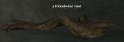 Bloodwine root