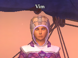 Vim (The Far Journey)