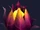 Flame Flower
