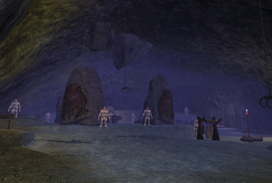 絶妙なデザイン The Missing Explorers | EverQuest 2 Wiki | Fandom ギター