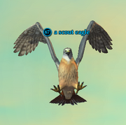 A scout eagle