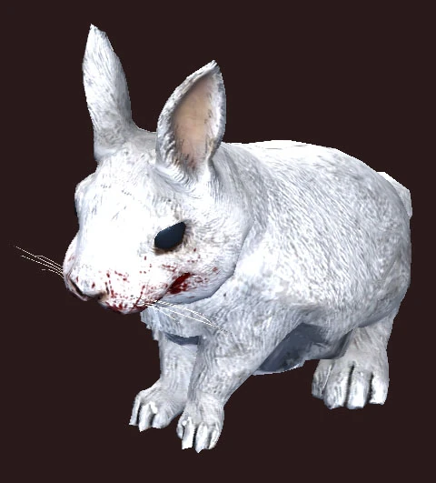 a were-rabbit | EverQuest 2 Wiki | Fandom