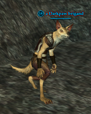 A Darkpaw brigand