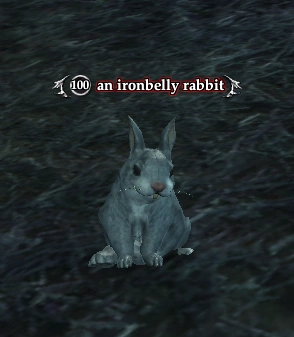 an ironbelly rabbit | EverQuest 2 Wiki | Fandom