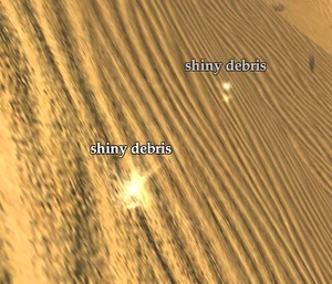 Shiny Debris Sinking Sands