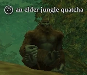 An elder jungle quatcha