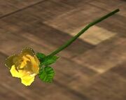 Single Yellow Rose (Visible)