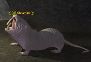 Slaverjaw