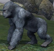 Race: Gorilla