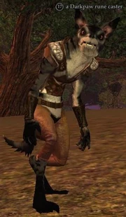 A Darkpaw rune caster