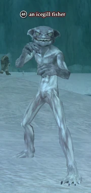 An icegill fisher