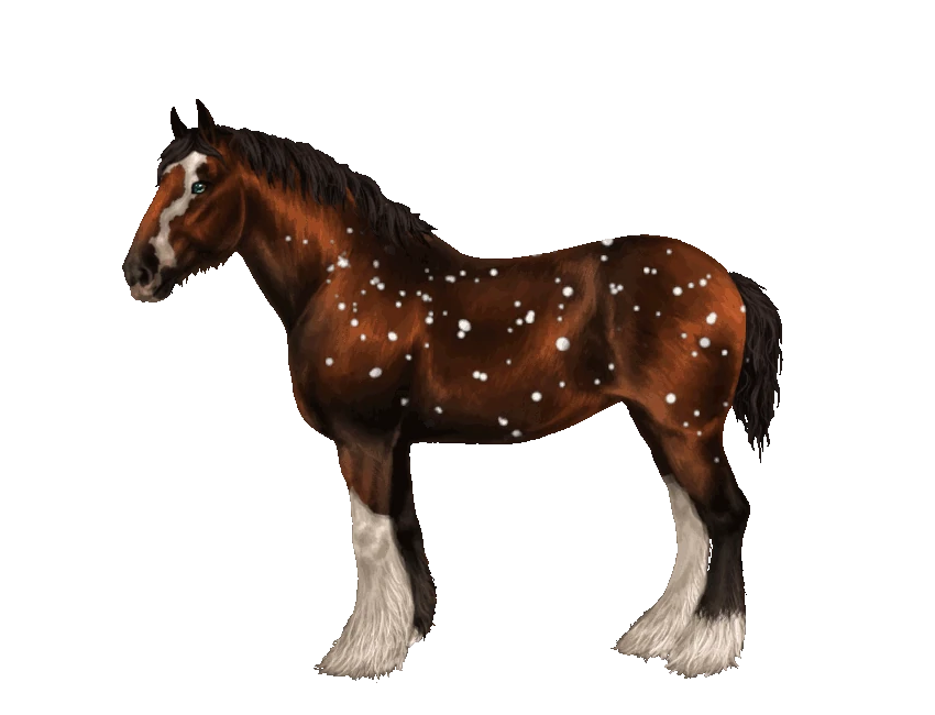 Clydesdale Eqcetera 2 Wiki Fandom