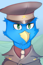 BestWizard.png
