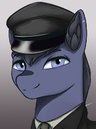 Generic Navy Pony 8