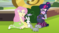 Fluttershy reveals all her animal friends EG3