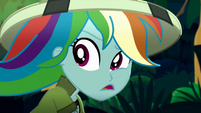 Rainbow Dash confused by the parrot SS12