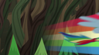 Rainbow Dash speeding off-screen EG4