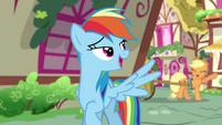 Equestrian Rainbow Dash waving to Applejack EGSB