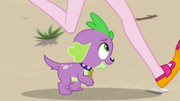 Spike sees Pinkie Pie running over him EGFF