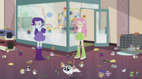 Fluttershy and Rarity surrounded by hamster chaos EG2