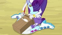 Rarity painting a fish-feeding box EG4