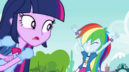 Rainbow Dash scores again EG