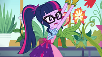 Twilight Sparkle "I don't know what happened!" EGDS8