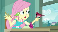 Fluttershy tells the birds to talk one at a time EGDS10