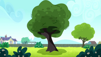 Tree outside Canterlot High School SS10