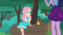 Squirrel appears next to Fluttershy CYOE3b