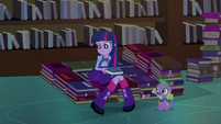 Twilight sits on bed of books EG