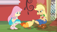 EG COYA01b Applejack i Fluttershy z kurczakami