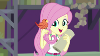 Fluttershy "of course I can get you" EG4