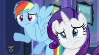 Rainbow and Rarity "what are hands?" EG