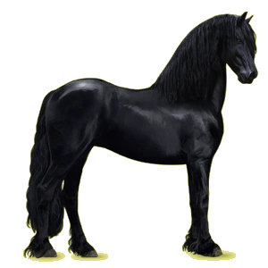 latest?cb=20181116080900&path-prefix=fr