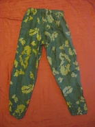 Back view of the trousers
