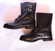 M77 cizme 2.jpg (128 KB) Side view