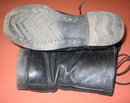 Sole