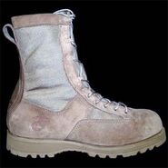 A Marine Corps Combat Boot (Temperate Weather)[7]