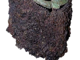 Vendel Helmet